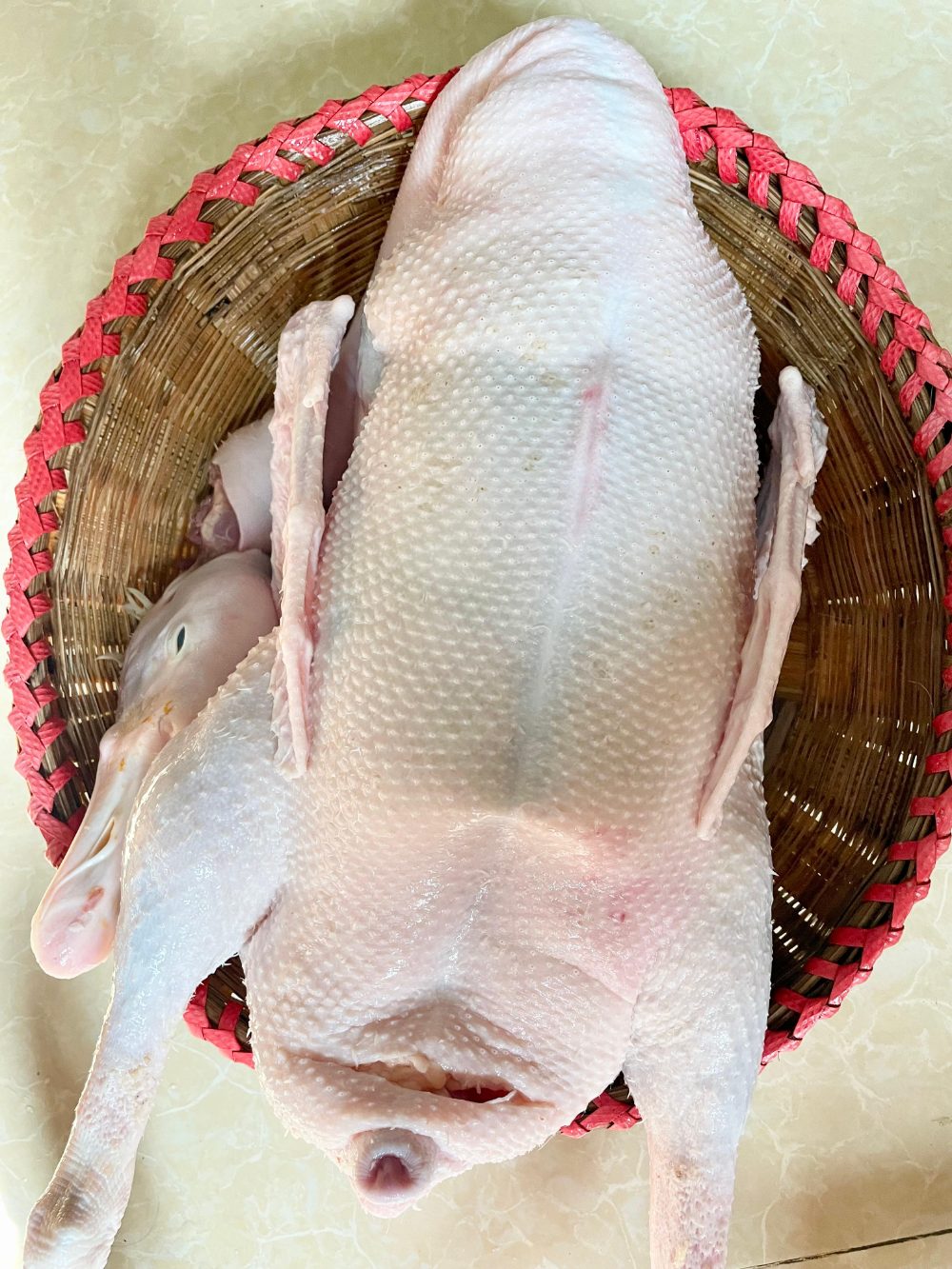 রাজ হাঁস